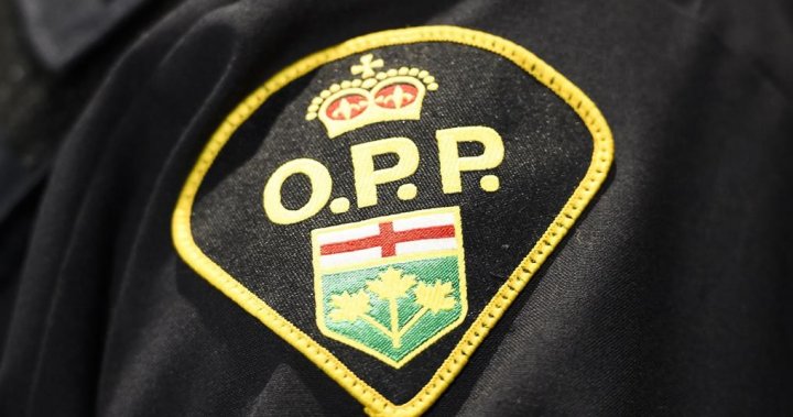 Ontario motorcyclist banned from driving arrested for flight from police