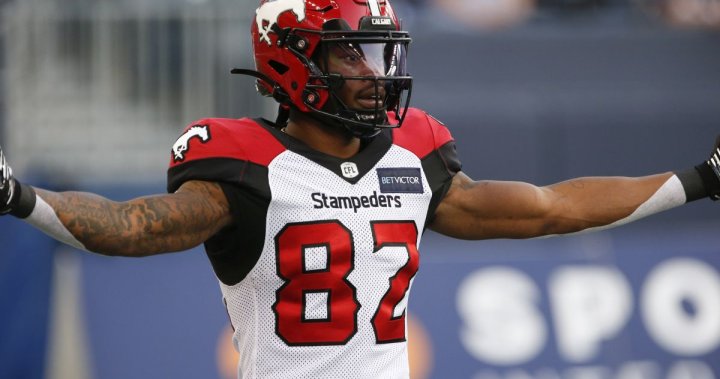 Calgary Stampeders receiver Malik Henry out with season-ending knee injury – Calgary