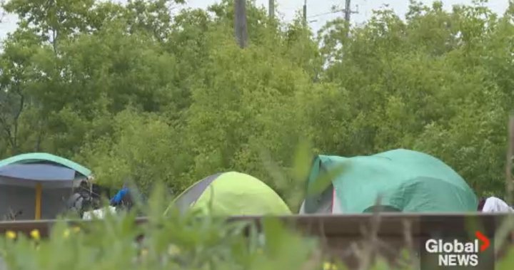 Tents return along CP rail line in Peterborough, Ont. after initial removal – Peterborough